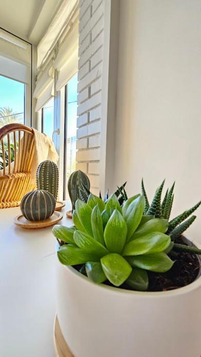 Apartment Boho Arenal Bol Con Parking Calpe