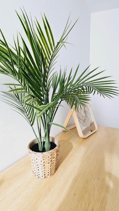 Apartment Boho Arenal Bol Con Parking Calpe